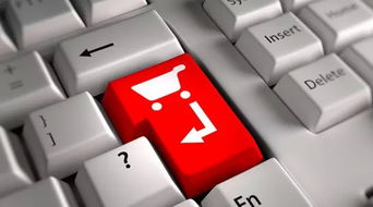 電商進(jìn)農(nóng)村需要邁過(guò)的坎