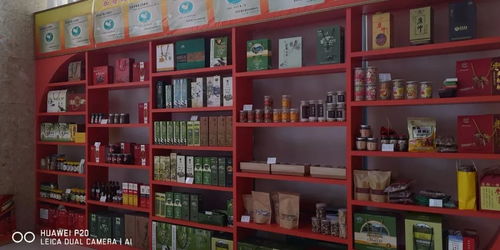 2018年武都區(qū)電子商務亮點工作 大力推進貧困地區(qū)農產品上行